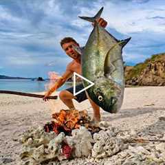 Solo survival (NO FOOD, NO WATER, NO SHELTER) Big Fish Catch Fillet and Cook