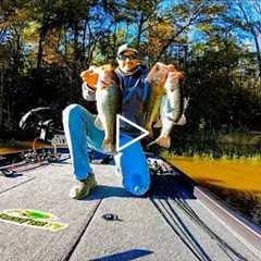 Fishing EXTREMELY MUDDY WATER After a HUGE COLD FRONT // Lake Chesdin Bass Fishing