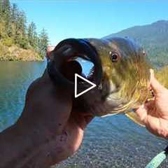 Smallmouth Bass Fishing On Cultus Lake, BC BIGGEST FISH I HAVE SEEN