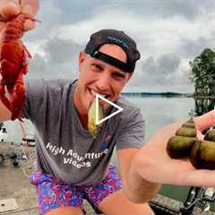 2 Days Foraging for Bait to Catch my Food! (Catch Cook Camp)