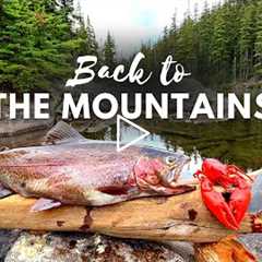 GIANT TROUT Fishing & SOLO Camping!!! (Catch & Cook Movie)