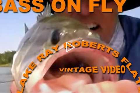 Carp Spawn and Bass on the Fly - Lake Ray Roberts Texas