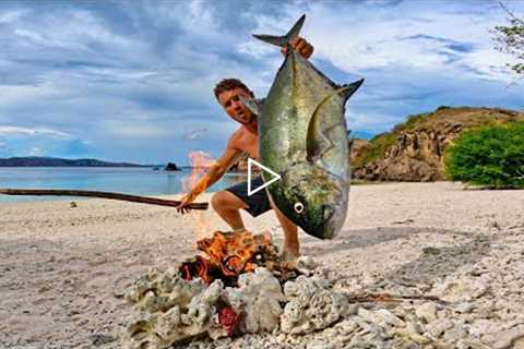 Solo survival (NO FOOD, NO WATER, NO SHELTER) Big Fish Catch Fillet and Cook