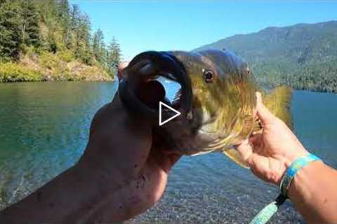 Smallmouth Bass Fishing On Cultus Lake, BC BIGGEST FISH I HAVE SEEN
