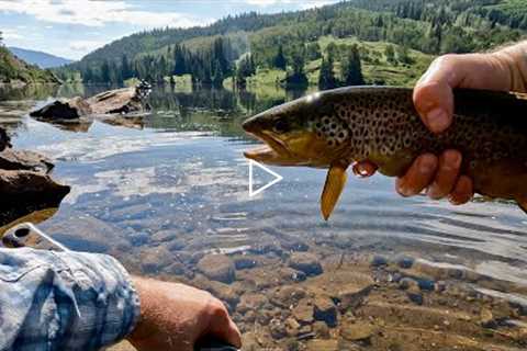 Destination Unknown Exploring New Water (Fly Fishing for Brown Trout)