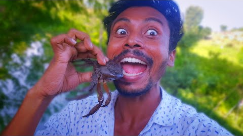 Amazing Crab 🦀 Fish 🎣 Catching Technique | Fish and Crab Eating | Fish Curry Recipe | Spicy Video 22