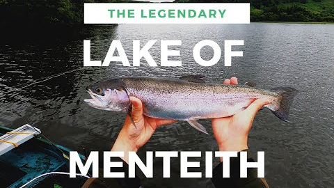 LAKE OF MENTEITH - Dry Fly Fishing In The Rain!