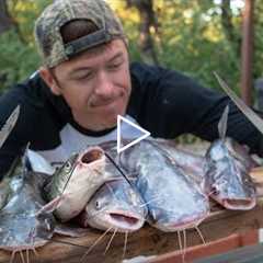 How to Clean and Cook Delicious Catfish