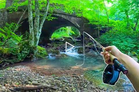 How to Catch MORE Brook Trout || Fly Fishing For Beginners