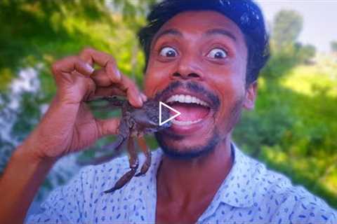 Amazing Crab 🦀 Fish 🎣 Catching Technique | Fish and Crab Eating | Fish Curry Recipe | Spicy Video ..