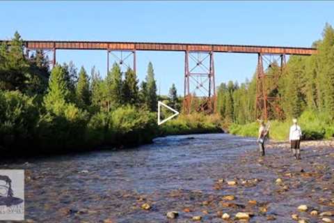 my favorite streams | hay fields vs. pine forests | Fly Fishing Idaho