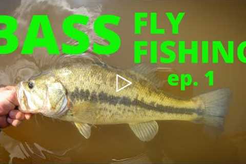 BASS FLY FISHING ep.1 (how to)