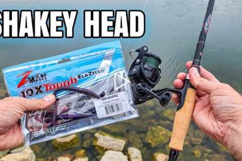 Shakey Head CATCHES Late Summer Bass (Bank Fishing)