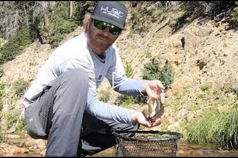 FLY FISHING WITH DRY FLIES