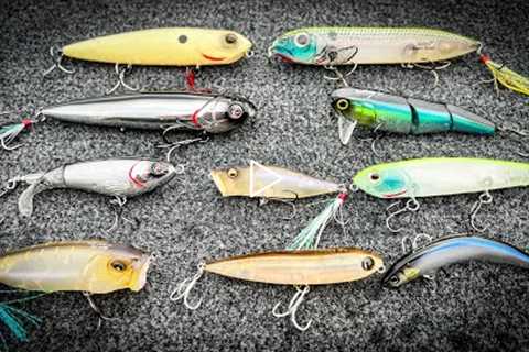 FALL TOPWATER FISHING: The BEST Baits For EVERY Situation!