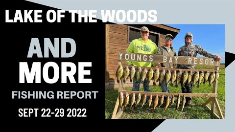 Lake of the Woods and MORE Fishing Report Sept 22-29 2022