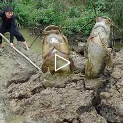 Top 1 Fishing Video Catch A Lot Of Fish, Fishing Catch Big Fish Cooking Fish, Survival Bushcraft