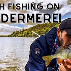 PERCH FISHING on Lake Windermere | Lake District Fishing! 🎣🏞 (4K)