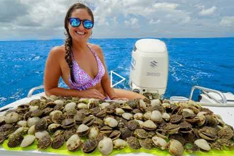 Catching 100's of SCALLOPS while SNORKELING!! Catch, Clean & Cook! Steinhatchee Florida