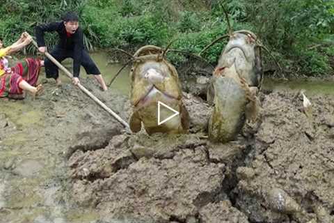 Top 1 Fishing Video Catch A Lot Of Fish, Fishing Catch Big Fish Cooking Fish, Survival Bushcraft