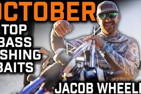 Top 5 Baits for October 2022 Fall Bass Fishing Topwater Month
