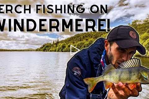 PERCH FISHING on Lake Windermere | Lake District Fishing! 🎣🏞 (4K)