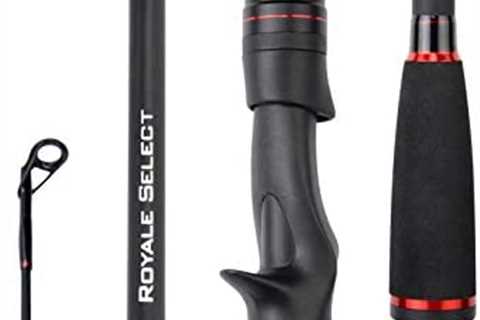 KastKing Royale Select Fishing Rods, Casting Models Designed for Bass Fishing Techniques,1 & 2-pc..
