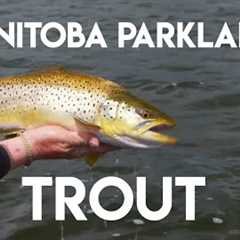 Manitoba Parklands Trout | Phil Rowley