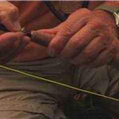 Fly Fishing Tips : How to Catch Rainbow Fish