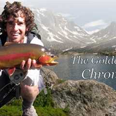 The Golden Trout Chronicles- Fly Fishing for trophy Golden Trout