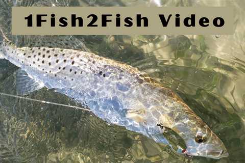 Giant Trout and Redfish Fishing for tasty Fish Cakes (Catch + Cook)