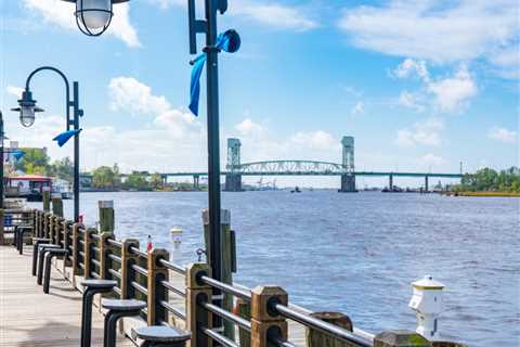 Wilmington Fishing: The Complete Guide