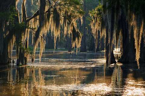 Catfish Fishing In Louisiana