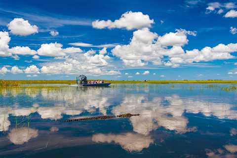 Fly Fishing in the Everglades: The Complete Guide