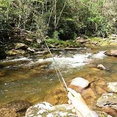 Backpackers mocked me for fishing here...they didn't know about the amazing wild trout!