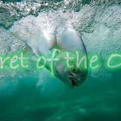 Secret of the Ooze | Can a 8 weight Catch Pompano And Redfish | Surf Fly Fishing Pompano &..