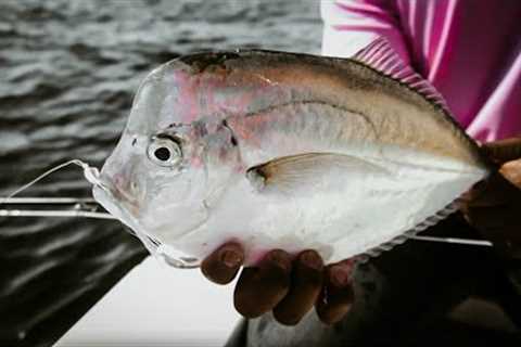 LOOK Down and EAT ___ | AJ's  Bonitas & more | Fly Fishing Destin, Florida w/ Lady Luck..