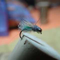 Emerald Caddis Pupa – 11/21/2022