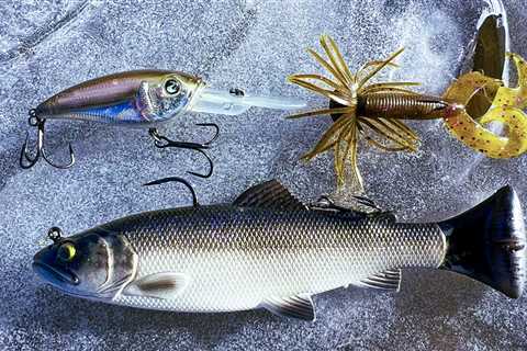 Top 5 Baits for January Bass Fishing!