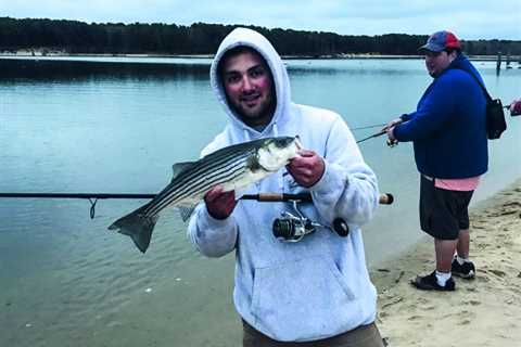 Stripers by the Season