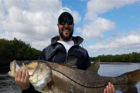 Catching Fish in Tampa Bay: A Guide for Anglers