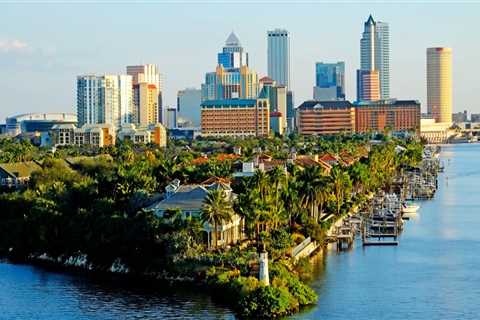 Discover the Best of Tampa, Florida