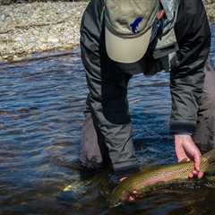 Missoula Fishing Report - Boat traffic and bugs - Montana Trout Outfitters