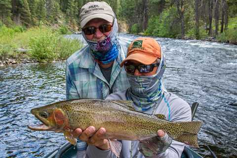 Big Dry Fly Season is Here! - Montana Trout Outfitters