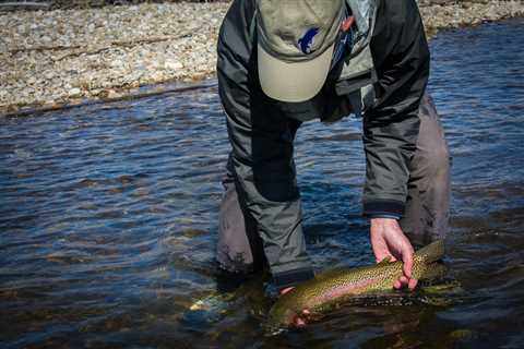 Missoula Fishing Report - Boat traffic and bugs - Montana Trout Outfitters