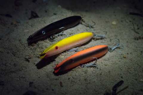 Surfcasting at Night: What to Pack