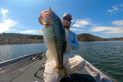 Swimbait Fishing Is Easy!! Magdraft SlugFest!