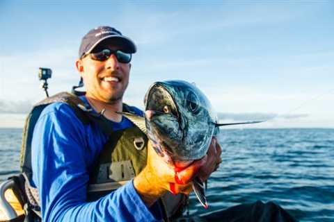 Soft-Plastic Lures for Finicky False Albacore