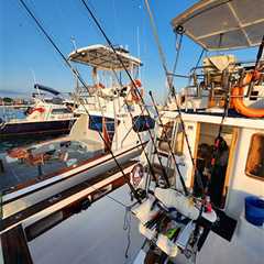 Ecuagringo Marlin Fishing Newsletter Galapagos Islands January 2023