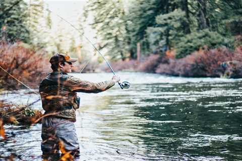 The Ultimate Beginner’s Guide to Fly Fishing